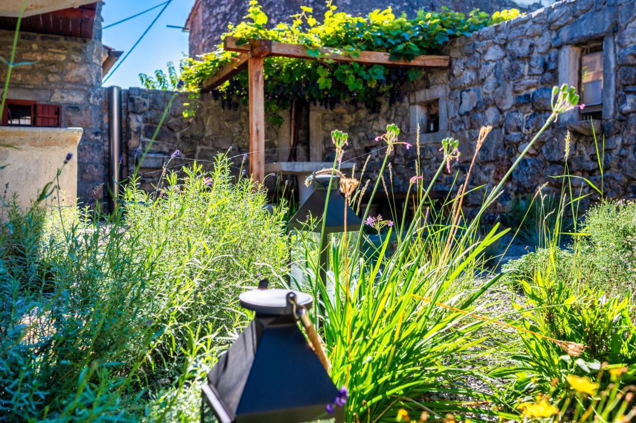 Dutovlje Karst House Zan Pliskovica With Private Pool 빌라 외부 사진
