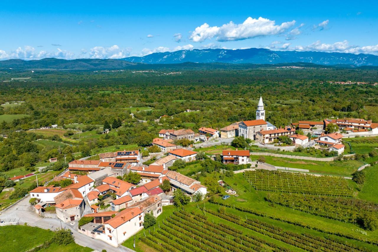 Dutovlje Karst House Zan Pliskovica With Private Pool 빌라 외부 사진